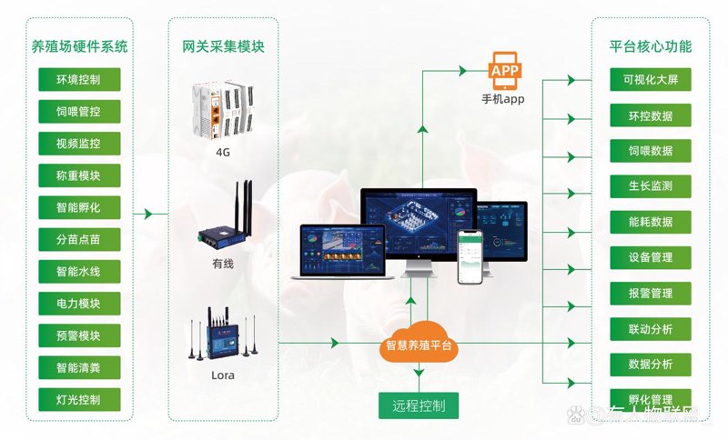 ERP系统开发引领企业管理变革